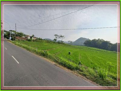 Dekat Kopi Ampirono Tanah Dijual Pengasih View Sawah