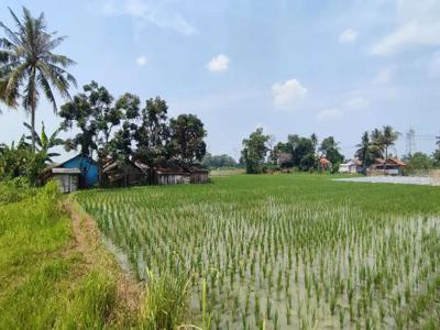 Dijual tanah daerah cipocok jaya serang banten