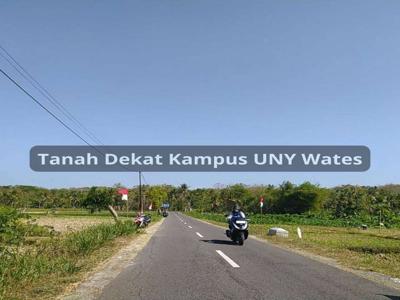 Dijual Tanah Pekarangan Dekat UNY Kampus Wates Cocok Bangun Hunian