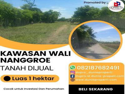 Tanah dijual luas +- 1 Ha Kawasan Blk Gdg Wali Nanggroe Aceh Besar.