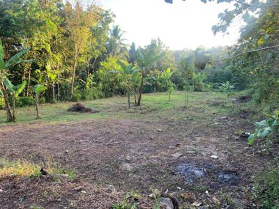 Tanah Jogja Samping Bakal Kampus Atma Jaya; SHM siap balik nama