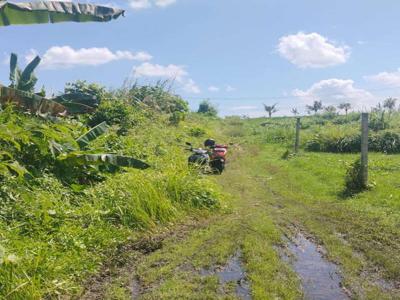 TANAH MURAH UKURAN KECIL DI KAWASAN PANTAI NYANYI, TABANAN BALI