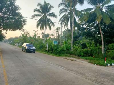 Tanah Pinggir Jalan Raya Utama Propinsi