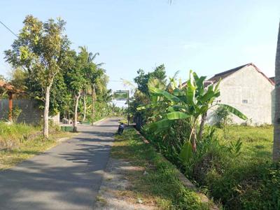 Tanah Yogyakarta Lingkungan Asri Cocok untuk Investasi