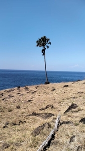 Di Jual Tanah Pinggir Pantai di Seraya Timur Karangasem Bali