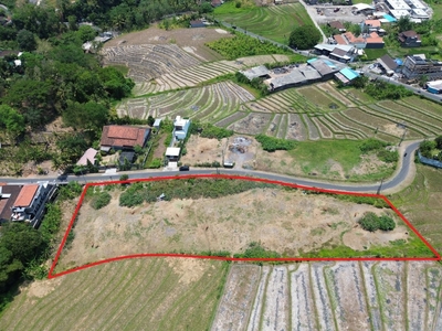 Dijual Tanah Premium View Sawah Pinggir Jalan Utama