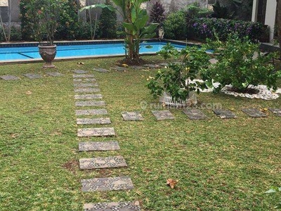 House with big garden and swimming pool in Ampera/ Jeruk purut - Kemang