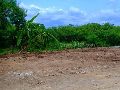 Dijual Tanah di Godean Sleman, Lingkungan Perumahan