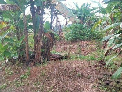Tanah Kebun di Dekat Kawasan Wisata Tanjung Lesung Banten