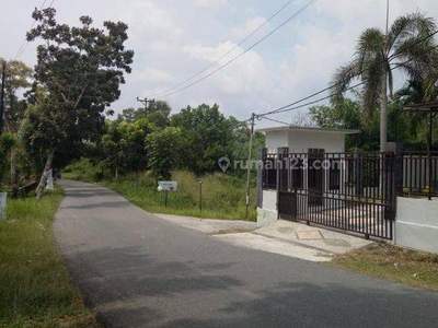 Tanah pekanbaru simpang tiga 50m dr jalan propinsi