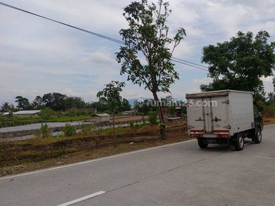 Tanah Tepi Jalan Raya Mungkid, Cocok Bangun Tempat Usaha