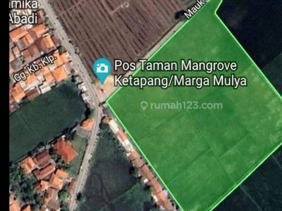 Cepat Tanah Jl Raya Tanjung Kait Tangerang