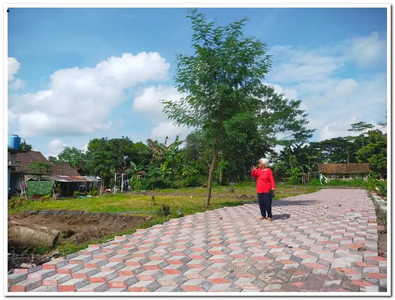 Dekat Tengkleng Gajah, Cocok Bangun Villa