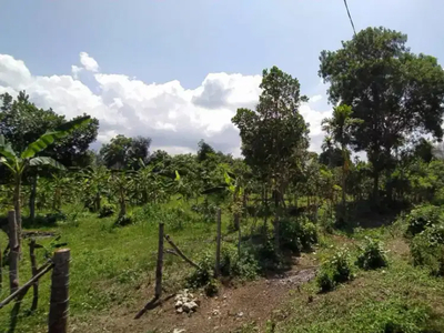 Di jual Tanah Kebun lokasi Strategis Di Montasik