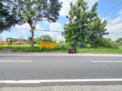 Dijual Cepat Tanah Sawah Jalur Kuning Tepi Jalan Utama Kalasan