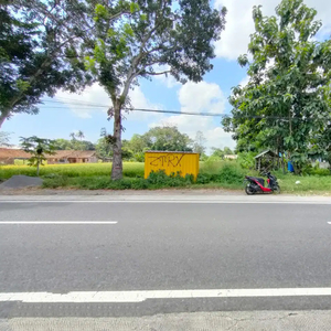 Dijual Cepat Tanah Sawah Jalur Kuning Tepi Jalan Utama Kalasan