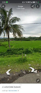 Dijual Sawah Panen Bagus