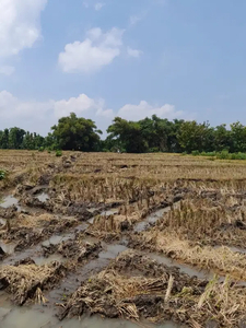 DIJUAL TANAH ZONA KUNING DI SKOHARJO.COCOK BUAT PERUM,PONPES.STRATEGIS