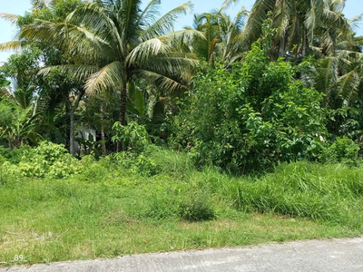 Investasi Tanah Kawasan YIA Jogja, Dekat Balai Desa Tawangsari