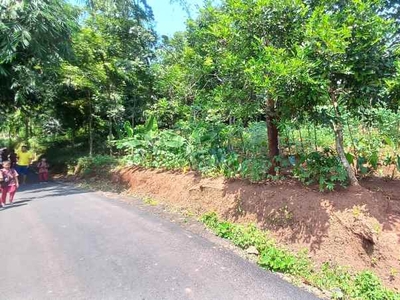 Jual Murah Tanah Kebun Pinggir Jalan Di Cisitu Sumedang