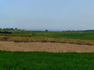 lokasi dekat pantai luas kecil murah di tabanan bali.