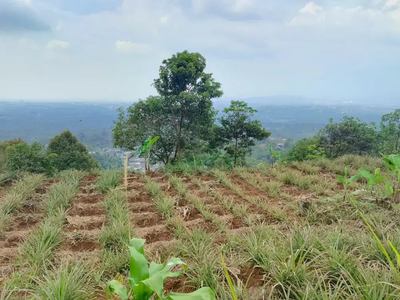 Tanah best view cocok di bangun villa di kawasan cijeruk bogor