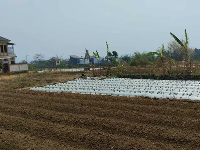 Tanah Dalam Area Perumahan, Harga Murah, Siap Bangun Hunian, Malang