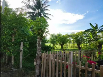 Tanah di Lamklat Darussalam