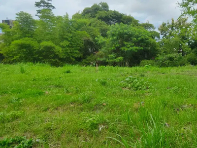 Tanah Dijual Kota Malang Komersil Cocok untuk Rukos SHM On HAnd