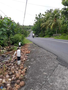 Tanah kavling murah kulonprogo jogja harga 2 juta per meter nego