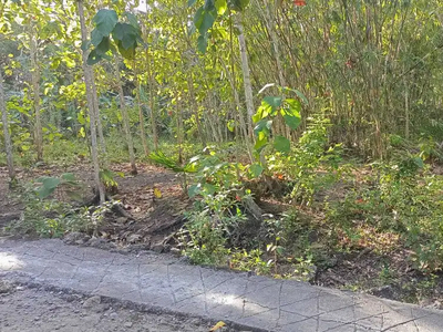Tanah Kulonprogo Yogyakarta Dekat Pintu Tol Wates