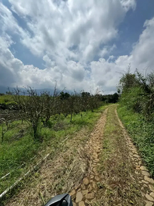 Tanah murah batu dataran tinggi area kebun apel