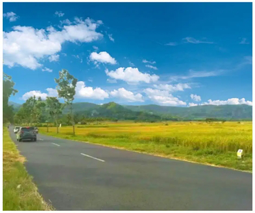 View Sawah Area wisata Kuliner Jogja Barat Luas 150m