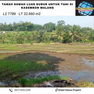 Tanah Sawah Luas Subur Strategis Di Tepi Jalan Raya Kasembon Malang