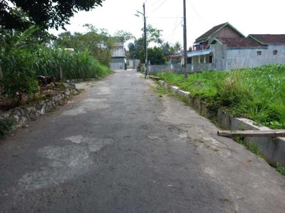 Sawah murah dimurangan