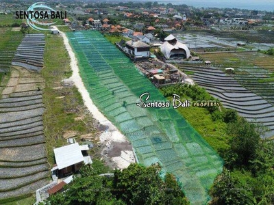 Land For Leased In Cemagi Ricefield View