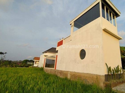 Rice Field And Susnset View Villa Canggu