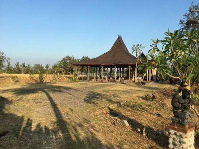 Disewakan Tanah + Joglo Kediri Tabanan Bali