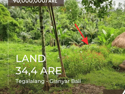 For Sale Afordable Land 34,4 Are With Stunning Jungle And Valley View Featuring Astonishing Green Garden View, Excellent For Villas, Resort, Hotel And A Profitable Property Investment In Bali.
