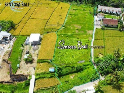 Jual Tanah di Peliatan Ubud Bali View Sawah Dekat Ubud Center