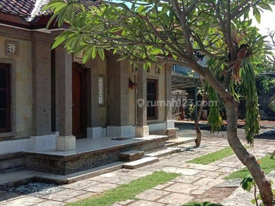 Rumah halaman luas Kesiman dekat Renon Denpasar Bali sewa min 2 tahun