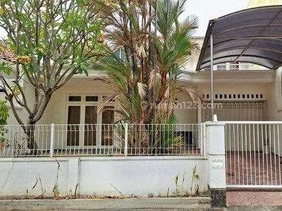 Rumah Murah 2 Lantai Minimalis Full Furnished Siap Huni Dekat Gwalk Di International Village Citraland Surabaya Barat