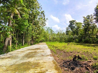 Tanah SHM di Jl. Pahlawan, Kulon Progo, Yogyakarta Siap Akad