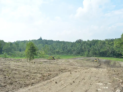 Dekat Kampus UNY Wates, Tanah Masih Murah Yogyakarta 800 Ribuan