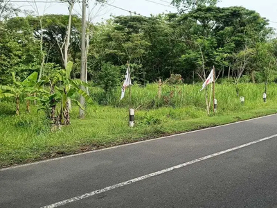 DI JUAL TANAH MURAH MANGKU JL RAYA NANGGULAN KULON PROGO