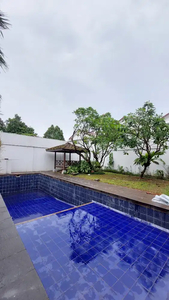 Disewakan Rumah Cantik, Pool, Cilandak, Jakarta Selatan