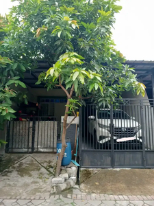 Over Kredit Rumah Permata Tangerang Blok BB