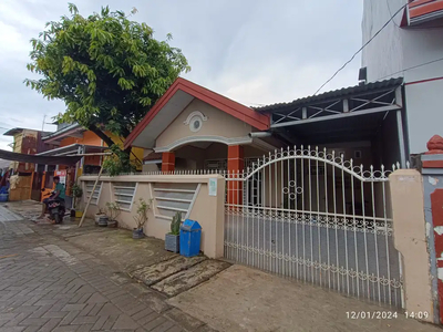 Rumah Cendrawasih Makassar