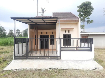 Rumah Tambakasri Tajinan Malang Dijual Murah cpt B.U Ready Siap Huni