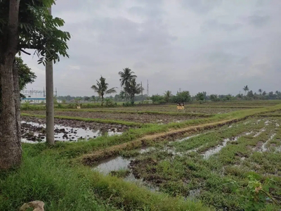 Syp Ciranjang Kab cianjur Lt 2.5ha  hrg 900 rb nego Lbr muka 100mtr